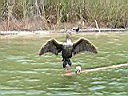 Mexico 2005 081.jpg